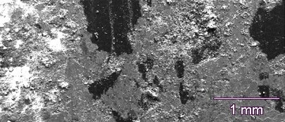 SEM image of the brake pad sample.