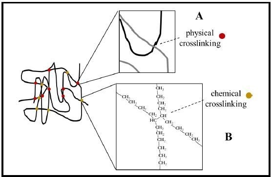 Crosslinking of HSP chains. Crosslinking provides the elastic recovery force for heat shrinkable materials such as tubing. Crosslinking may be either physical crosslinking (A and red dots) from overlapping polymer chains and entanglement or chemical crosslinking (B and gold dots) via a direct chemical bond between adjacent polymer chains. (Example shown: polyethylene).