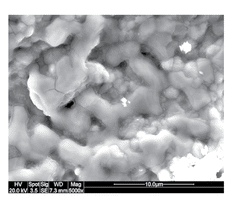 Scanning electron micrograph of sintered doped ZnO thermoelectric device.