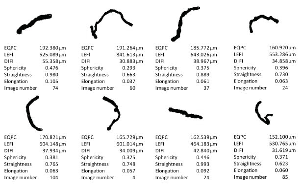 Illustrative representation of individual methyl cellulose fibers in the particle gallery
