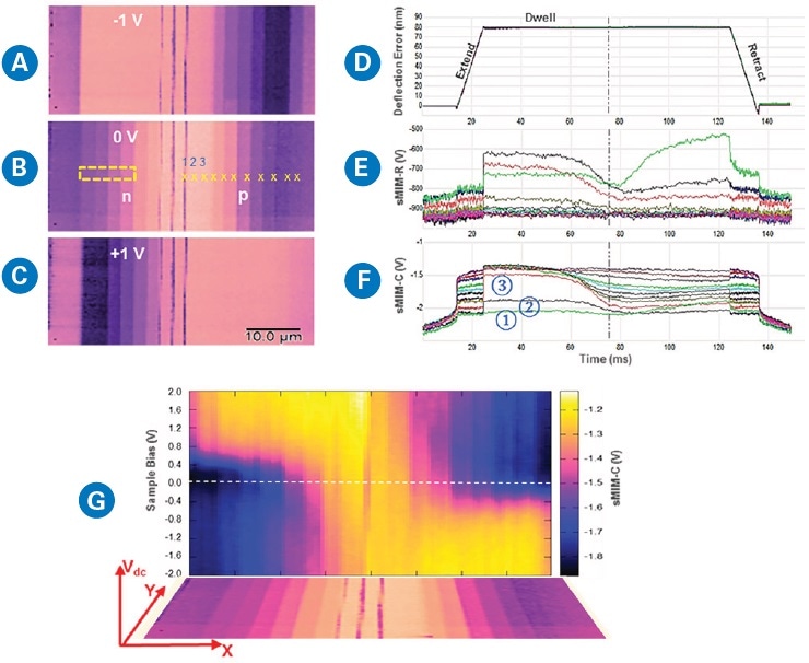 DCUBE-sMIM study of a Si sample with n-type and p-type staircase carrier profile: (a)–(c) “sMIM-C” capacitance image slices at selected sample biases; (d)–(f) 11 spectral sets of force, sMIM-R, and sMIM-C, respectively, collected at user-selected positions marked on (b); (g) slice image representing the sMIM-C signal versus sample bias and X position at a fixed Y location.