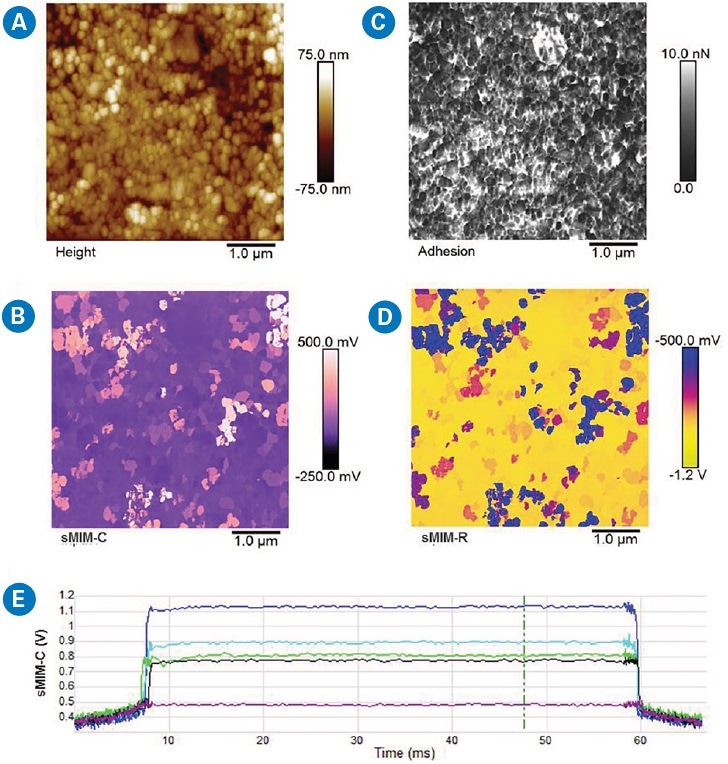 DCUBE-sMIM study of a ?-Fe2O3 sample: (a) surface topography, (b) quantitative adhesion map, (c) a slice of sMIM-C from the DCUBE results, and (d) a slice of sMIM-R from the DCUBE results.