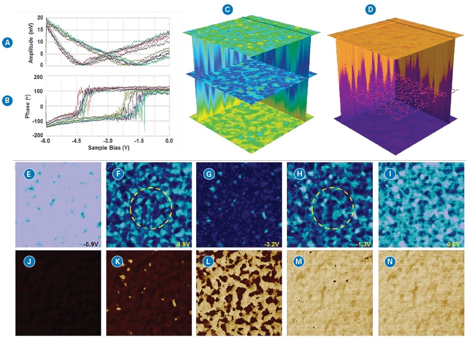 DCUBE-PFM studies of a BiFeO3 (BFO) piezoelectric film: (a) two sets of amplitude spectra from two different domains inside the red circles in (f) and (h); (b) corresponding phase spectra to those in (a); (c) and (d) are cubes of the amplitude and phase data, respectively. X and Y correspond to the 1 µm x 1 µm scan area. The vertical direction, Z, from bottom to the top, is the sample bias from -6 V to 0 V. The cube color represents the amplitude or phase in the cube space, i.e., the measured PFM signal at a specific XY location and applied bias. The cube size is 128 x 128 x 833 (or 1 x 1 µm2 x 6 V). The four horizontal planes correspond to the slices of amplitude or phase at different sample bias. The middle slice in the phase cube is shown as a set of contours over the range of values appearing at this bias. The two vertical slices along the XZ direction represent amplitude or phase changing over the sample bias (Z direction) along two line positions in the XY plane. (e)–(i) are slices of amplitude at different sample bias and (j)–(n) are slices of phase at different sample bias.