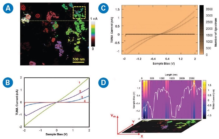 Processing, analysis, and visualization of nanoelectrical data from DCUBE-TUNA mode with NanoScope Analysis software: (a) current slice at +1 V, (b) point-selected I-V spectra as numbered in (a), (c) density plots based on 1890 I-V spectra from the dashed-yellow-square region in (a), and (d) TUNA current changes over sample bias across the dashed-yellow line in (a) where the white plot on the image is the corresponding surface profile with a range of 150 nm in height. This is a two-dimensional slice of the data cube at a fixed Y position as indicated by the coordinates on the image.