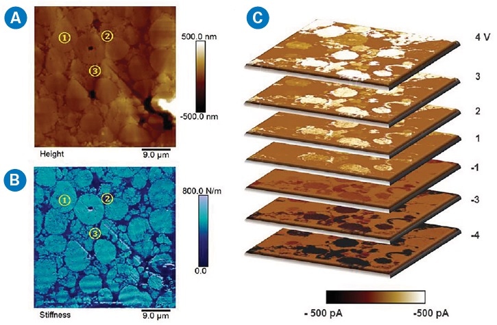DCUBE-TUNA study of a battery cathode consisting of Li metal oxide (1), polymer binder (2), and conductive carbon nanoparticles (3): (a) surface topography, (b) quantitative surface stiffness differentiating different domains, and (c) a collection of TUNA current slices from the spectroscopic mapping at selected sample voltages. The scanning area is 45 x 45 µm2.