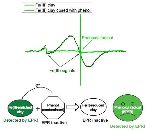 Free radicals in Fe(III)-enriched clay.
