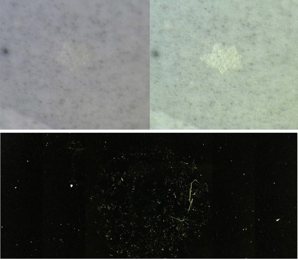Visual enhancement options offered by the LUMOS. The contrast improving effect of crossed visual polarizers can clearly be seen (top), while in the darkfield image, the particles light up on a gold filter for easy localization (bottom).