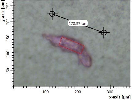 Red particle on a filter with indication of particle length and aperture size.