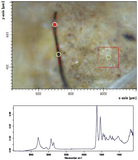 Fiber found in a river sediment and adjusted aperture (red rectangle) of the measurement. Bottom right: acquired spectrum of the fiber.