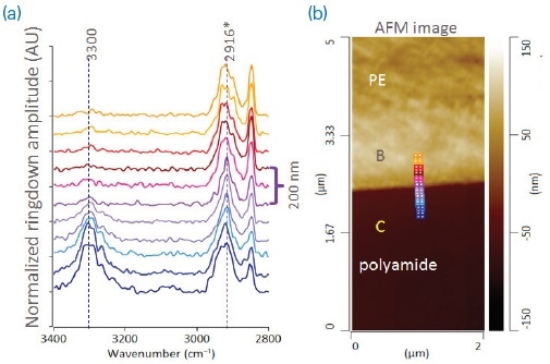 (a) AFM height image and (b) AFM-IR spectra across PE/PA layer interface.