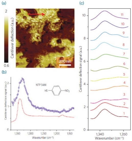 (a) An AFM deflection image showing SAMs of NTP on a gold substrate; (b) comparison of AFM-IR spectrum (blue) and ATR spectrum (red) of NTP SAMs; (c) array of AFM-IR spectra collected across the red line shown in (a), demonstrating spatial resolutions of ~20 nm.