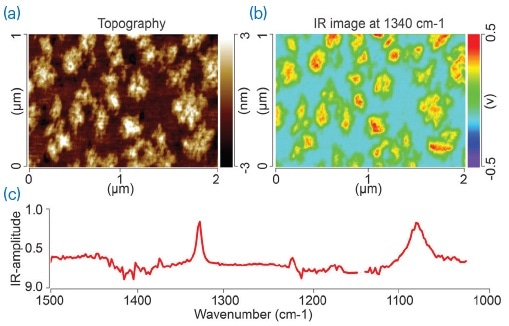 (a) AFM topography image; (b) IR absorption image at 1340 cm-1 of a monolayer island film of PEG on gold; and (c) AFM-IR spectrum of one of the PEG islands.