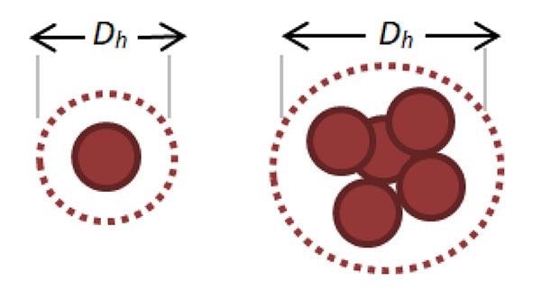 Representative increase in Hydrodynamic Diameter as Nanoparticles Aggregate.