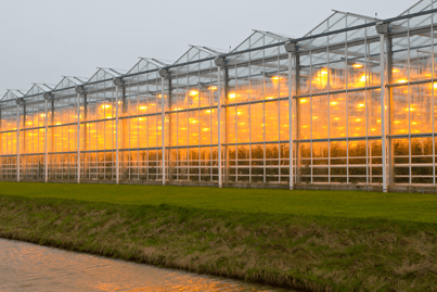 Spectroscopy, Smart Agriculture, Agriculture