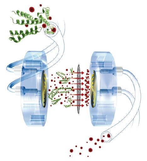 Working principle of patented Stopped Flow Dialysis: During the whole sampling process, the charged sample is continiously passed through the sample side of the Dialysis Cell, to the left of the membrane. On the opposite side of the membrane, an acceptor solution is sitting idle in the dialysis cell and is being charged with the ions passing through the membrane due to the existing concentration gradient. This process is only stopped when an equilibrium is established, and thus the concentration of the acceptor solution matches that of the original sample. Finally the acceptor solution is injected directly and fully automatically into the IC.