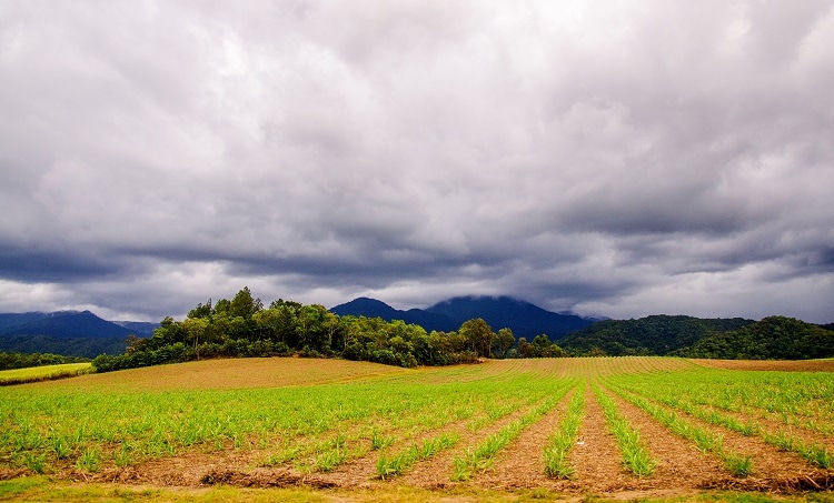 Potassium salts are commonly used as fertilisers. Image credit: Jen Watson/Shutterstock