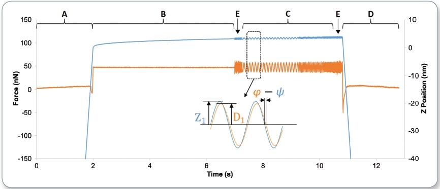 Typical AFM-nDMA spectroscopy force (orange) and Z position (blue) data. The tip is brought into contact and a preload is applied (marked A); the system waits for creep relaxation (B); low-amplitude modulation occurs at various frequencies, including reference frequencies (C and E); and the tip is retracted from the sample (D). Inset shows the key parameters to be extracted from the modulation segments: the deflection amplitude, D1, the Z amplitude, Z1, and the phase shift between Z and deflection (? - ? ).