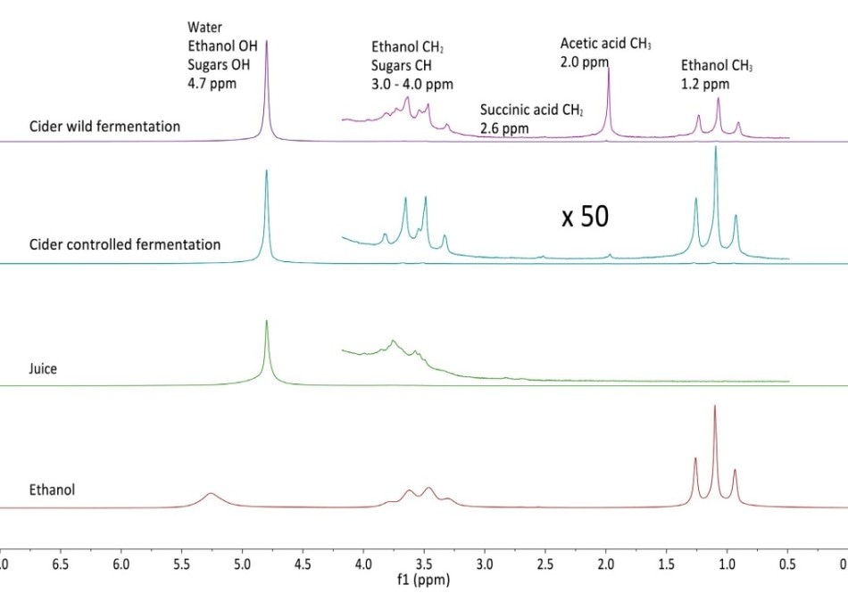 Monitoring Fermentations