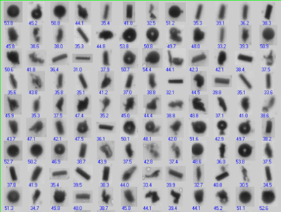All these particles – spheres, irregular shapes, and fibers – report a single ECA diameter of about 40 µm.