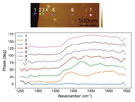 Near-field optical spectrum on a thin hBN nanoflake shows a systematic spectral shift varying with distances to the edge