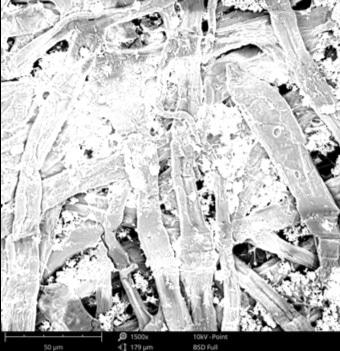 SEM image of paper imaged with no precaution (charging.).