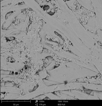 SEM image of paper imaged with gold coating.