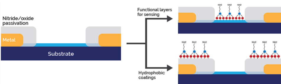Major processing requirements for biomedical device fabrication
