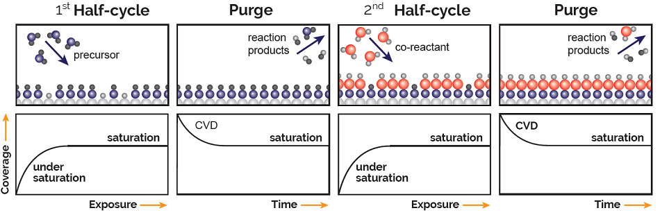 A schematic representation of the various steps in an ALD cycle consisting of two half-reactions. The exposures in the first half-cycle (precursor) and second half-cycle (co-reactant) are self-limiting such that the process stops when all available surface sites are occupied. The two half-cycles are separated by purge steps. The lower panels show the resulting coverage, or growth per cycle, as a function of exposure or time for that particular step. For sufficient exposure, saturated growth is obtained, while insufficient exposure results in incomplete saturation. For insufficient purging, a CVD component from mixing of the precursor and co-reactant is obtained.