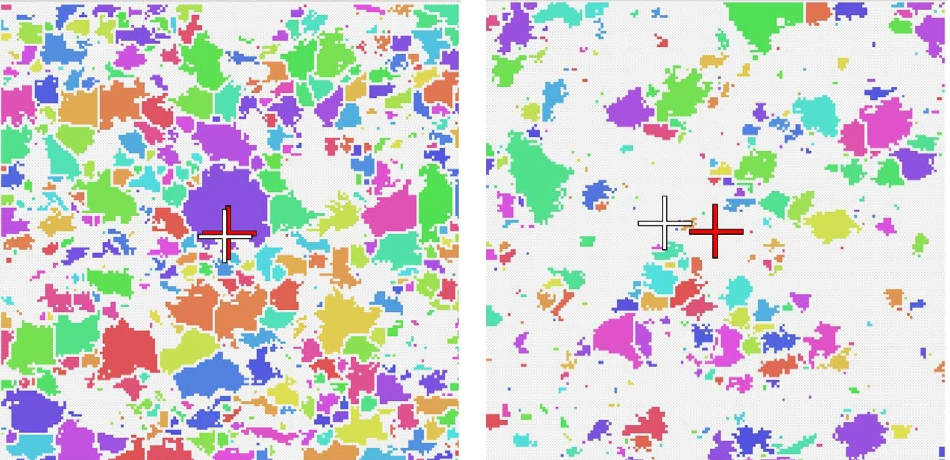 Zoomed in extracts from the Centre of Area (CoA) images for the generic (left) and innovator (right) MCC. The red crosses indicate the centre of the image, the white crosses indicate the CoA. A greater offset can be seen in the innovator image.