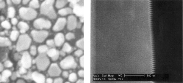 Figure 2: Vibration Noise Affecting An Image (Left) and AC Field Noise Affecting An Image (Right)