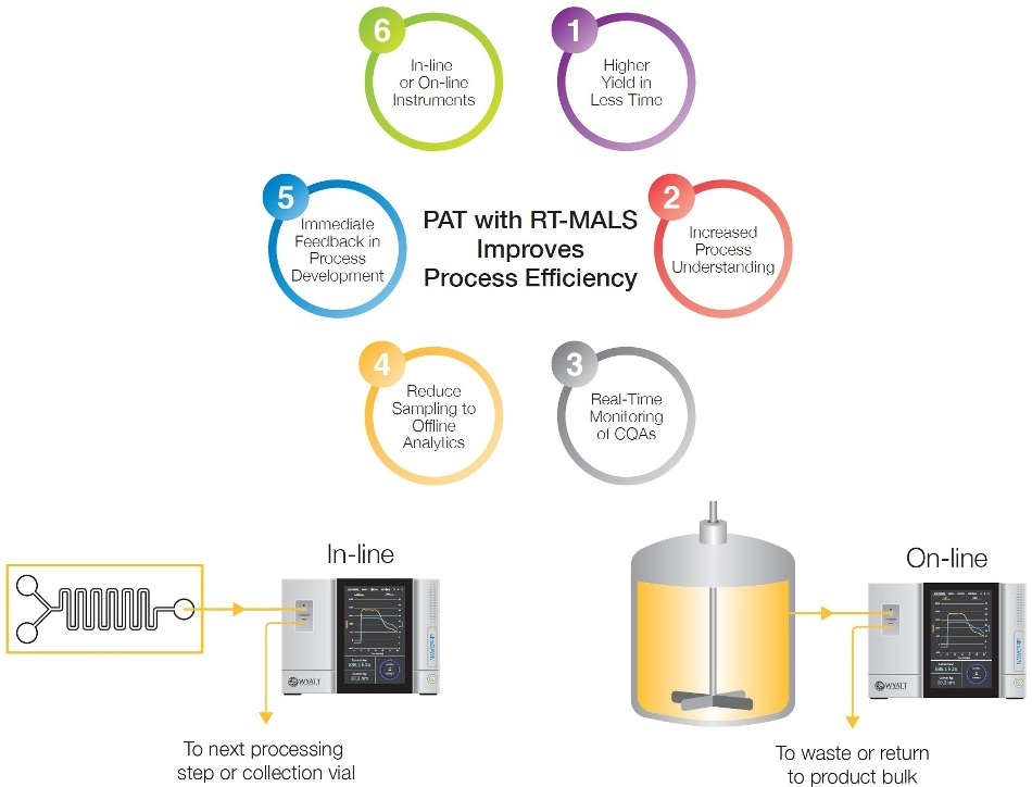 Real-Time Multi-Angle Light Scattering of Polysaccharide