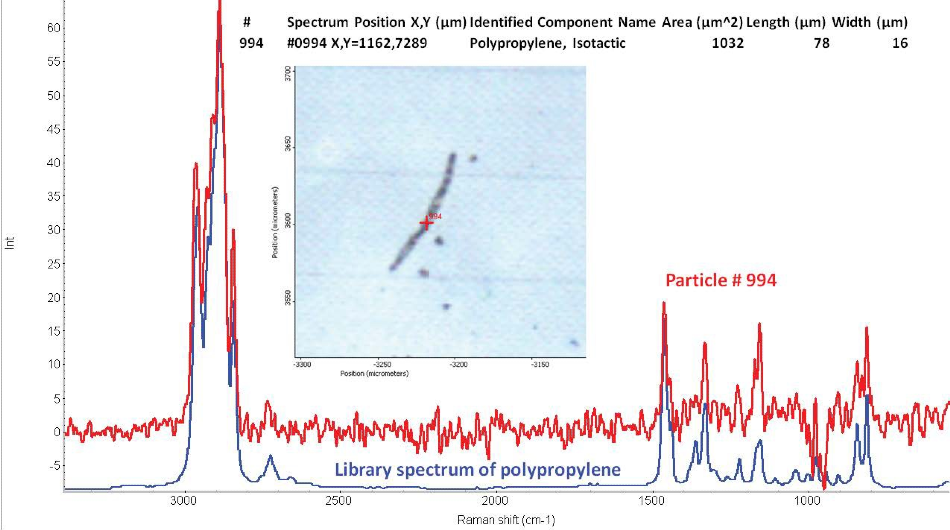 Example of a microplastic particle from the Raman particle analysis of the silicon filter. The particle is a small polypropylene fiber approximately 78 microns long and 16 microns wide. The Raman spectrum of the fiber matches a library spectrum of polypropylene.
