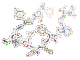 LCP-MicroED structure of proteinase K. Density map (wireframe) is superimposed with molecular structure (color).