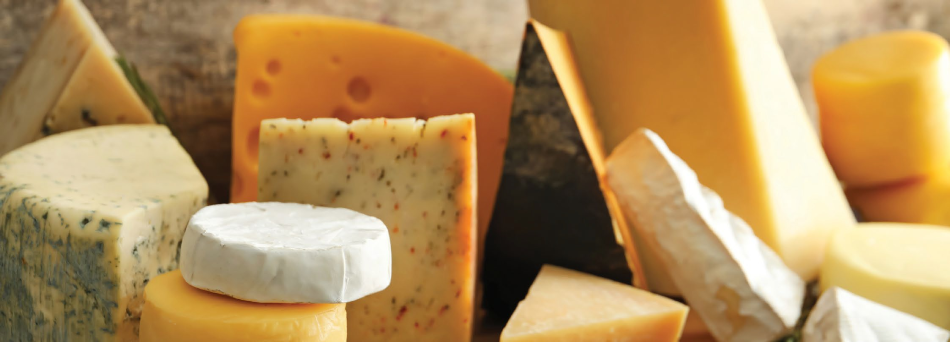 Measuring Lactose Concentrations in Cheese