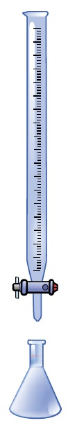 A common setup for a manual titration where the buret is filled with titrant, and the Erlenmeyer flask consists of the sample solution, which contains the analyte that needs to be measured.