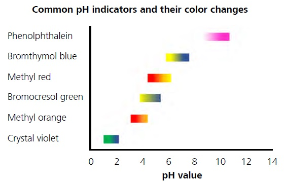Color variations of different pH indicators depending on the pH value.