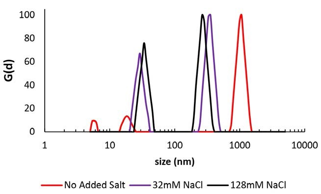 The Importance of Ionic Strength to DLS Measurements