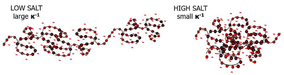 The Importance of Ionic Strength to DLS Measurements