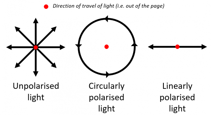 Types of polarization of light