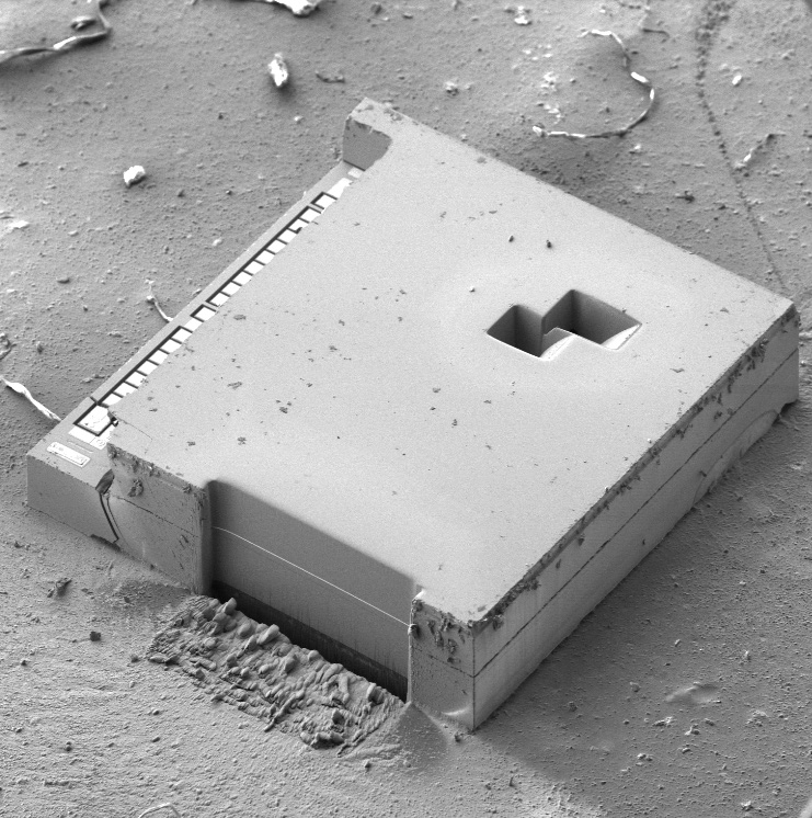 MEMS with multiple cross-sections through the bonding layer of W2W cavity die.