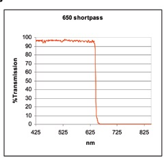 Fluorescence In Situ Hybridization (FISH) Imaging