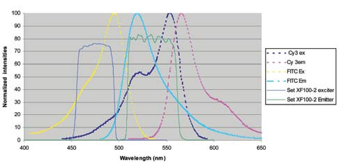 Fluorescence In Situ Hybridization (FISH) Imaging