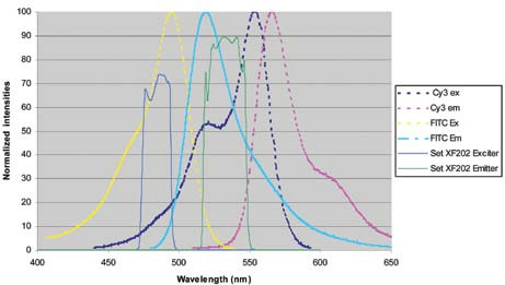 Fluorescence In Situ Hybridization (FISH) Imaging