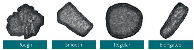 Particle Morphology
