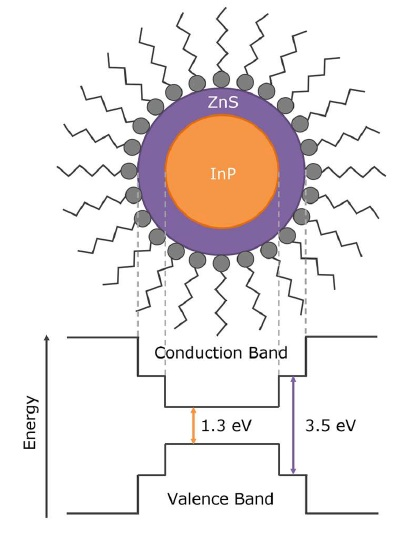 Structure and band energy diagram of core-shell InP/ZnS quantum dots.