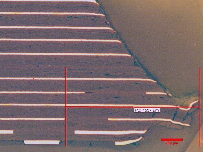 Damage from bandsaw sectioning.