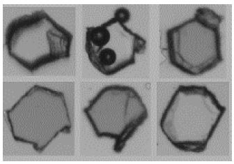 Why Dynamic Imaging Analysis Should Be Included in Particle Shape Evaluations