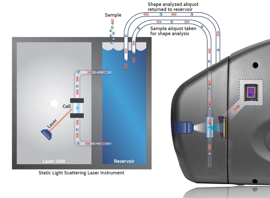 Why Dynamic Imaging Analysis Should Be Included in Particle Shape Evaluations