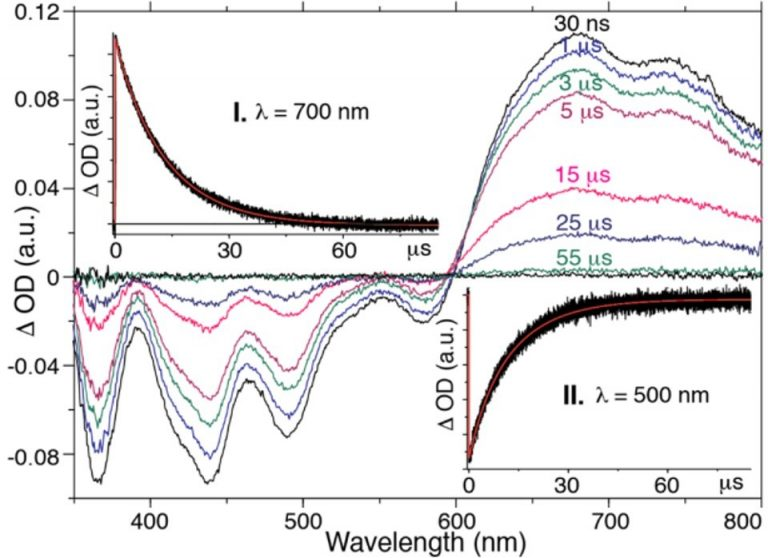 Transient absorption spectra and kinetics of RWPt-2, utilising ICCD and PMT detectors on the LP980 Spectrometer.
