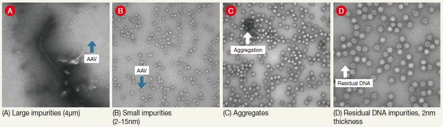 Sample TEM Images.